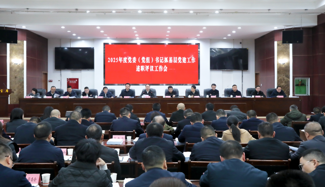 2025年度党委（党组）书记抓基层党建工作述职评议工作会召开