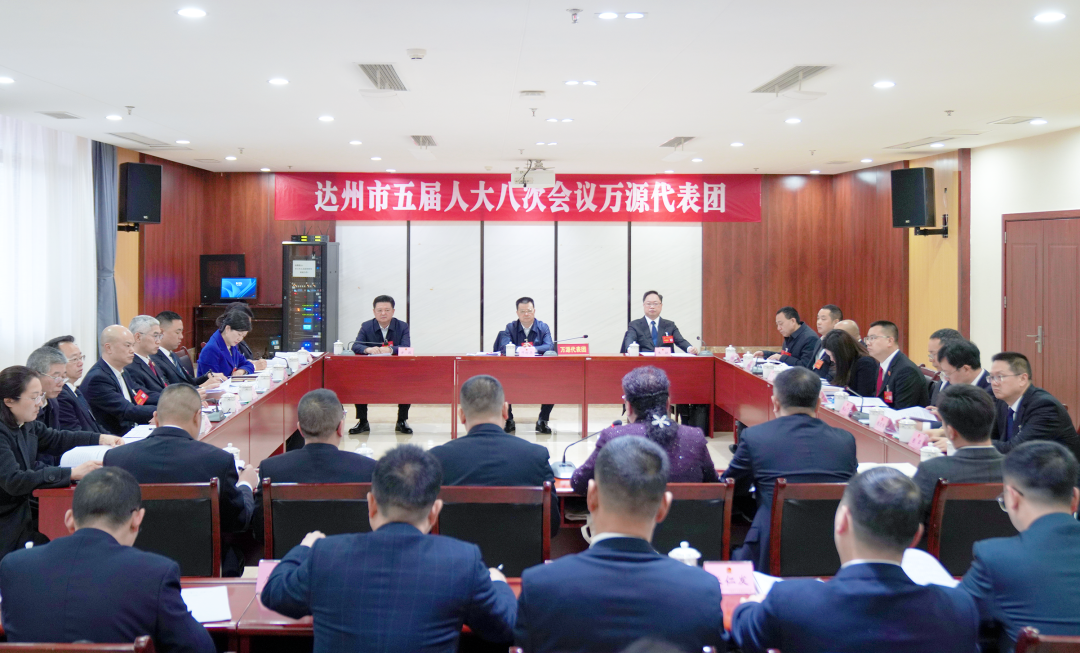 万源代表团认真审议达州市政府工作报告