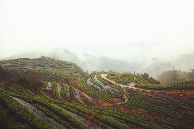 云绕茶山