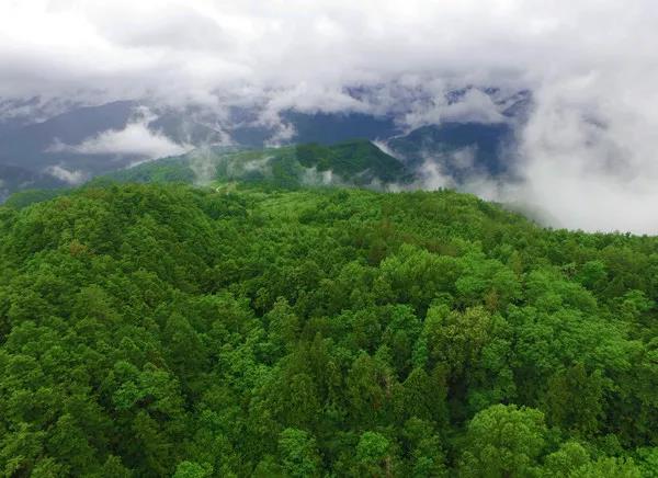 黑宝山