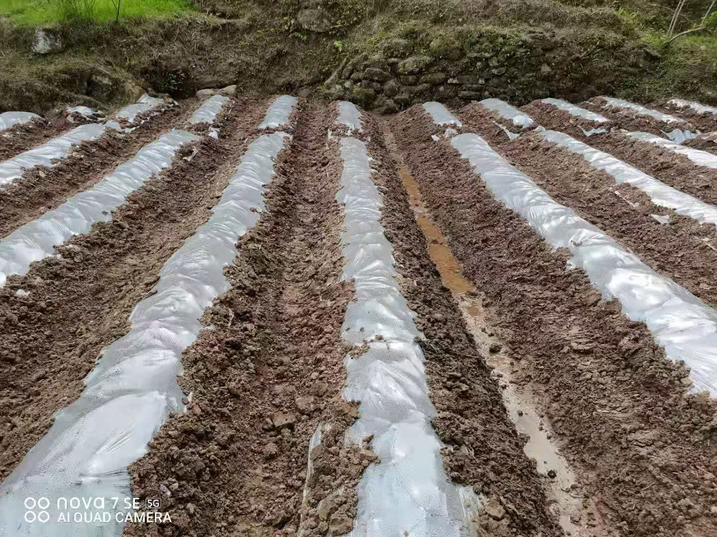 20210414161838430315609872.jpg