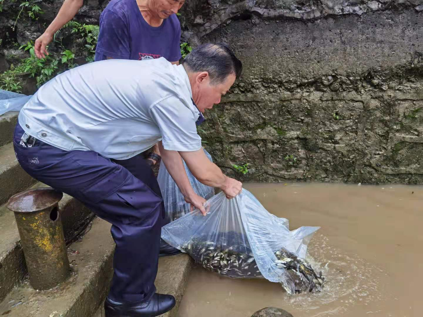 20210628162485470361000743.png 20210628162485470361000743.png